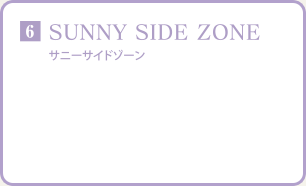 SUNNY SIDE ZONE