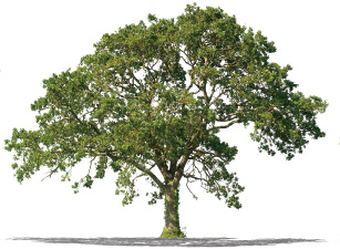 豊かなココロを育むために。