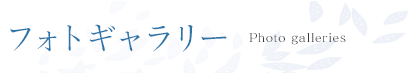 フォトギャラリー