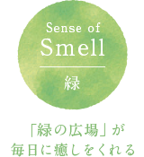 「緑の広場」が毎日に癒しをくれる