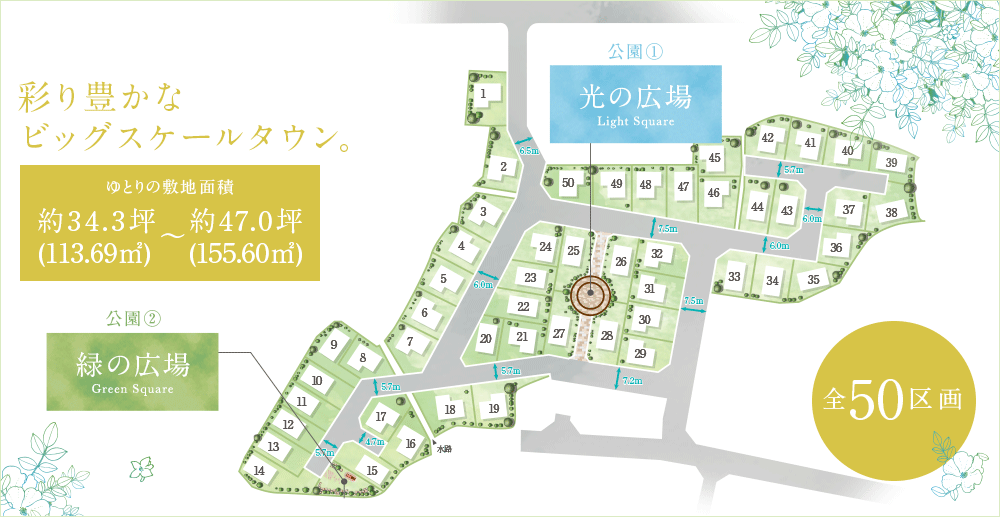 区画図